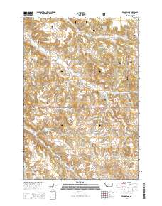 Reanus Cone 2014 topographic map thumbnail