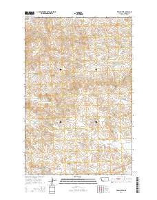 Twin Buttes 2014 topographic map thumbnail