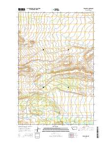 Twin Lakes 2014 topographic map thumbnail