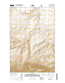 Twin Sisters 2014 topographic map thumbnail