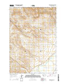 Twin Bridges SW 2014 topographic map thumbnail