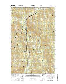 Skillet Mountain 2014 topographic map thumbnail