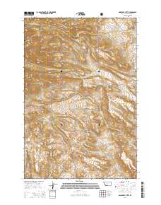 Raspberry Butte 2014 topographic map thumbnail
