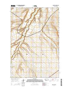 Ross Fork 2014 topographic map thumbnail