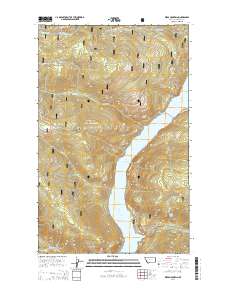 Webb Mountain 2014 topographic map thumbnail