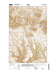 Saddle Rock 2014 topographic map thumbnail