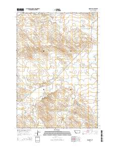 Ridgway 2014 topographic map thumbnail
