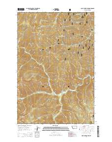 Saint Patrick Peak 2014 topographic map thumbnail