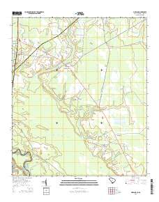 Pineland 2014 topographic map thumbnail