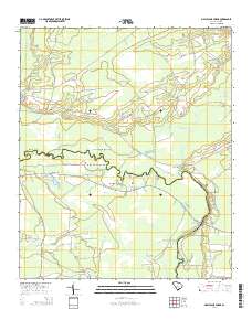 Maple Cane Swamp 2014 topographic map thumbnail