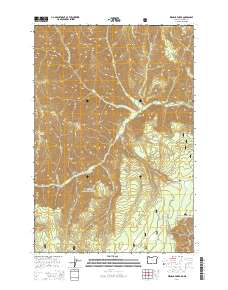Wenaha Forks 2014 topographic map thumbnail