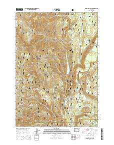 Tamolitch Falls 2014 topographic map thumbnail