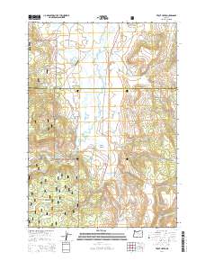 Trout Creek 2014 topographic map thumbnail