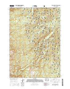 Trout Creek Butte 2014 topographic map thumbnail