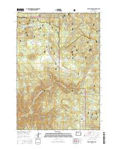 Trout Meadows 2014 topographic map thumbnail
