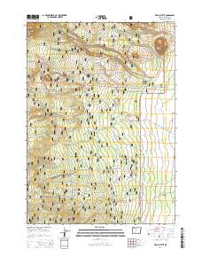 Welch Butte 2014 topographic map thumbnail