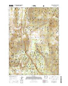 Stams Mountain 2014 topographic map thumbnail