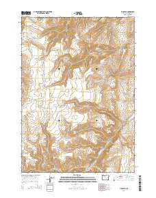 Tims Peak 2014 topographic map thumbnail