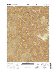 Tincup Peak 2014 topographic map thumbnail