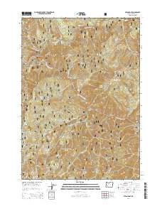 Steamboat 2014 topographic map preview