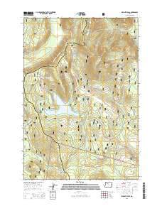 Wapinitia Pass 2014 topographic map thumbnail