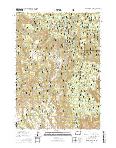 West Myrtle Butte 2014 topographic map thumbnail