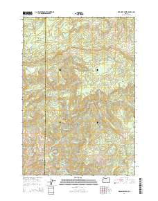 Warnicke Creek 2014 topographic map thumbnail