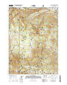 Wickiup Spring 2014 topographic map thumbnail