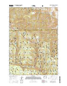 Whiskey Mountain 2014 topographic map thumbnail