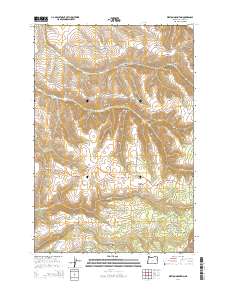 Weston Mountain 2014 topographic map thumbnail