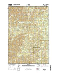 Woods Point 2014 topographic map thumbnail