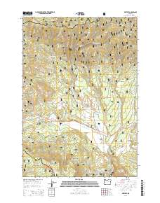 Whitney 2014 topographic map preview