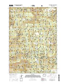 Five Hundred Flat 2014 topographic map thumbnail