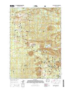 Santiam Junction 2014 topographic map thumbnail