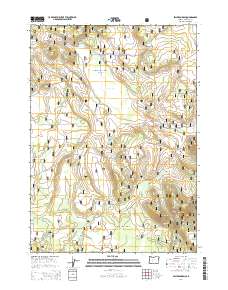 Sellers Marsh 2014 topographic map thumbnail