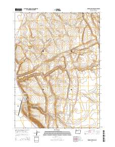 Roaring Springs 2014 topographic map thumbnail
