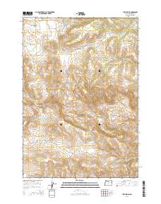Tubb Spring 2014 topographic map thumbnail