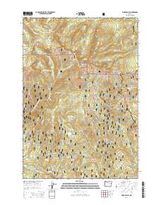 Vinegar Hill 2014 topographic map thumbnail