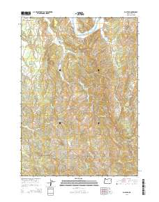 Bill Peak 2014 topographic map thumbnail