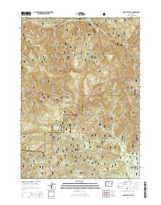 Abbott Butte 2014 topographic map thumbnail
