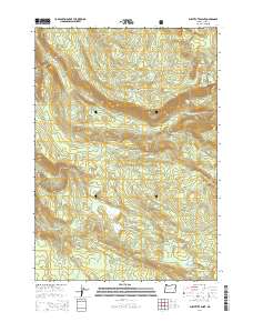 Substitute Point 2014 topographic map thumbnail