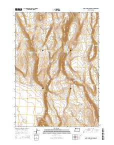 Saint Patrick Mountain 2014 topographic map thumbnail