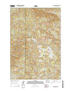 Trask Mountain 2014 topographic map preview