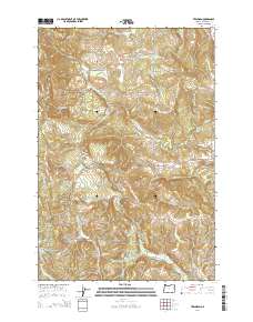 Trenholm 2014 topographic map thumbnail