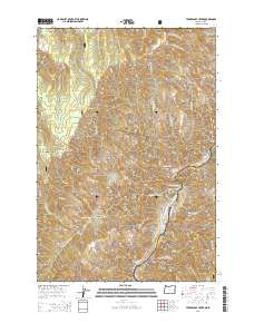 Temperance Creek 2014 topographic map thumbnail