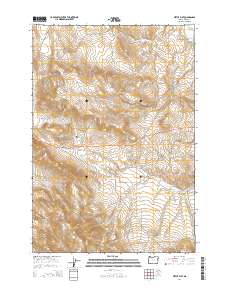 Virtue Flat 2014 topographic map thumbnail