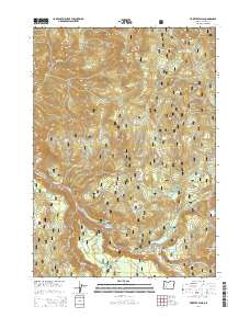Toketee Falls 2014 topographic map thumbnail