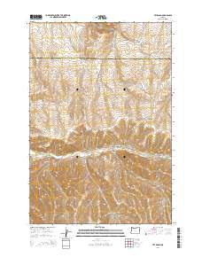 Vey Ranch 2014 topographic map thumbnail