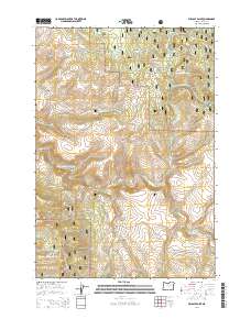 Wildcat Point 2014 topographic map thumbnail