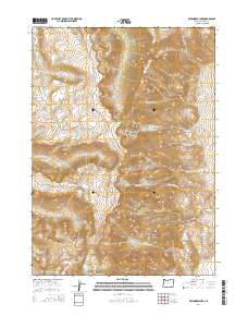 Wildhorse Lake 2014 topographic map thumbnail